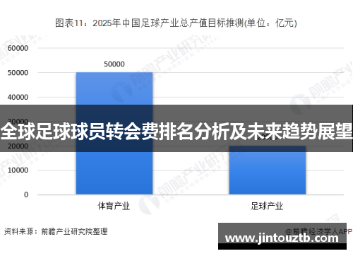 全球足球球员转会费排名分析及未来趋势展望